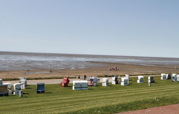Ferienhaus Friedrichskoog-Strandpark 14