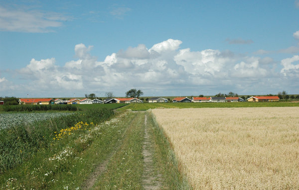 Ferienhaus Friedrichskoog-Deichblick 1
