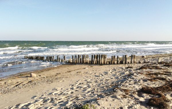 Ferienhaus - Süssauer Strand/Ostsee , Deutschland - DSH788 907