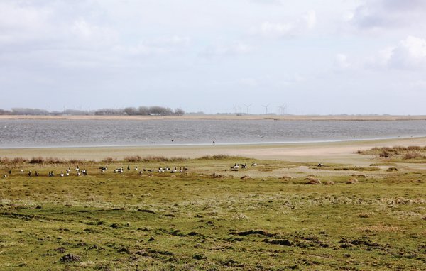 Feriebolig 