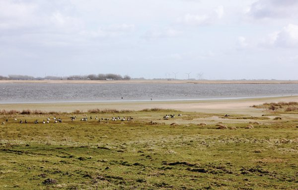 Feriebolig 