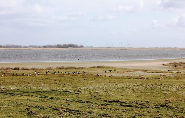 Feriebolig 