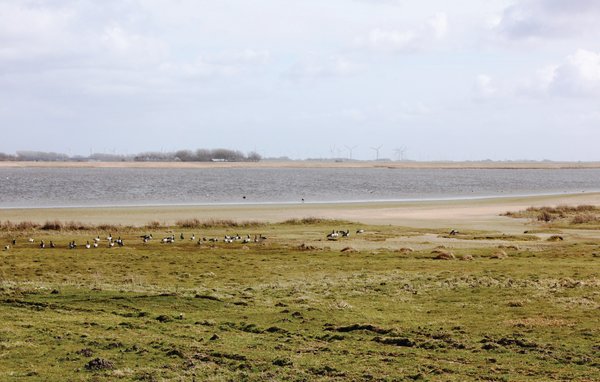 Feriebolig 