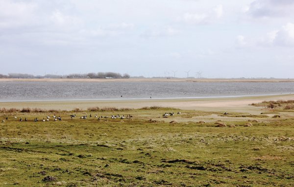 Feriebolig 