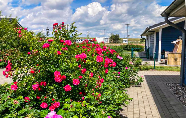 Domy wakacyjne - Dagebüll , Niemcy - DSH954 104