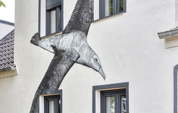 Ferienwohnung - Großenbrode , Deutschland - DSL250 101