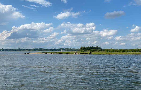 Ferienhaus - Schleswig OT Tolk , Deutschland - DSL268 903