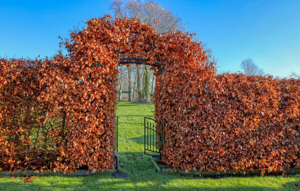 Apartament - Nübel OT Brekling , Niemcy - DSL301 8