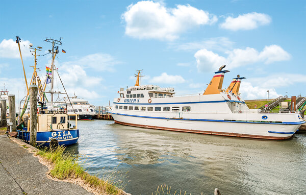 Ferienwohnung - Nordstrand , Deutschland - DSL306 908