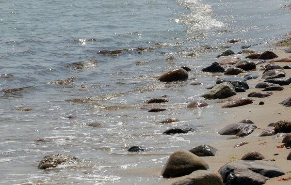 Location de vacances - Süssauer Strand/Ostsee , Allemagne - DSL712 901