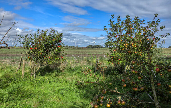 Apartamento - Niebüll OT Galmsbüll , Alemania - DSL829 910