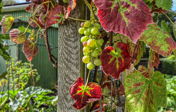 Apartamento - Niebüll OT Galmsbüll , Alemania - DSL829 911