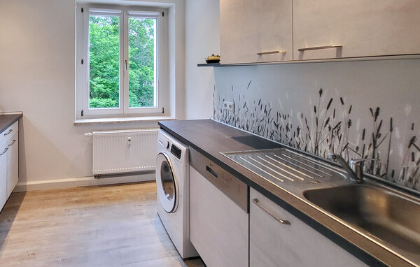 Apartamento - Pirna , Alemania - DSS119 402