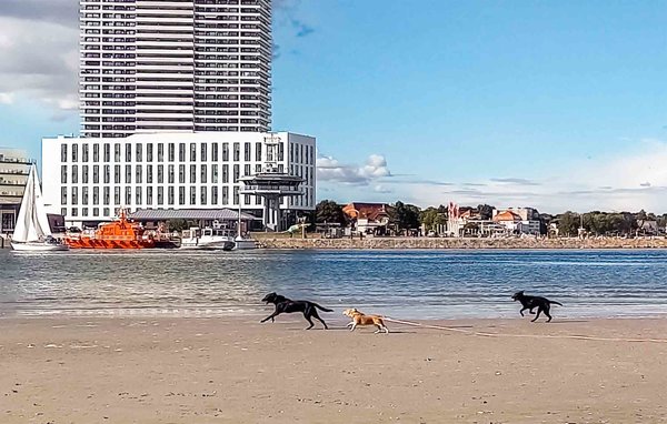 Apartamento - Travemünde BeachBay , Alemania - DTR001 903