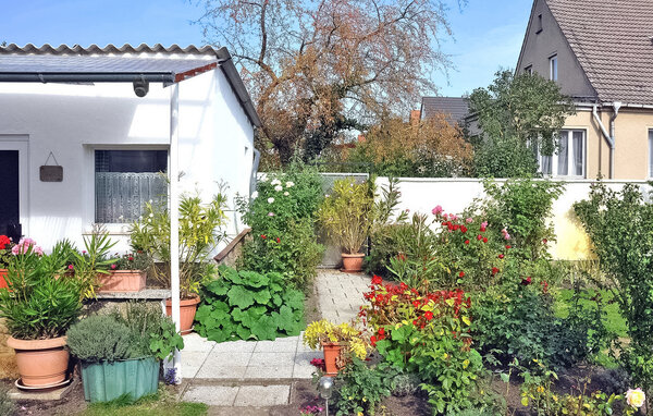 Ferienhaus - Waren (Müritz) , Deutschland - DZV041 2