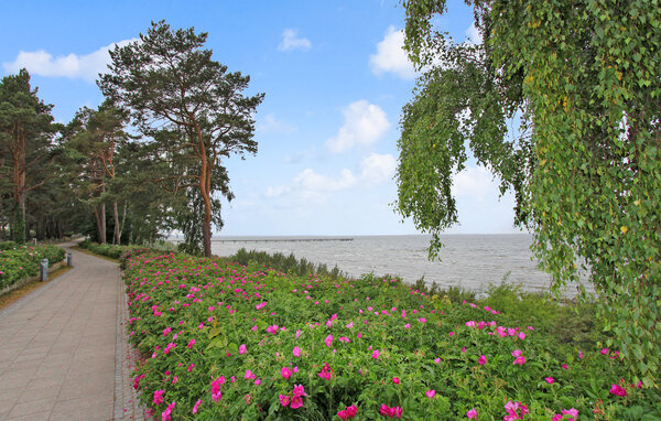 Domy wakacyjne - Lubmin (Seebad) , Niemcy - DZV068 901
