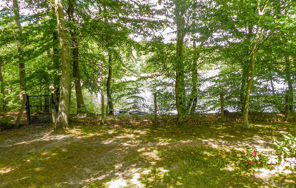 Ferienhaus - Boitzenburger Land , Deutschland - DZV070 903