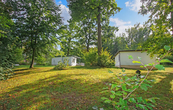 Ferienhaus - Boitzenburger Land , Deutschland - DZV070 8