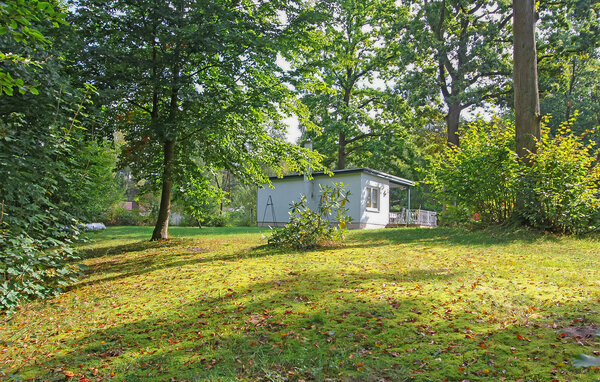 Ferienhaus - Boitzenburger Land , Deutschland - DZV070 82