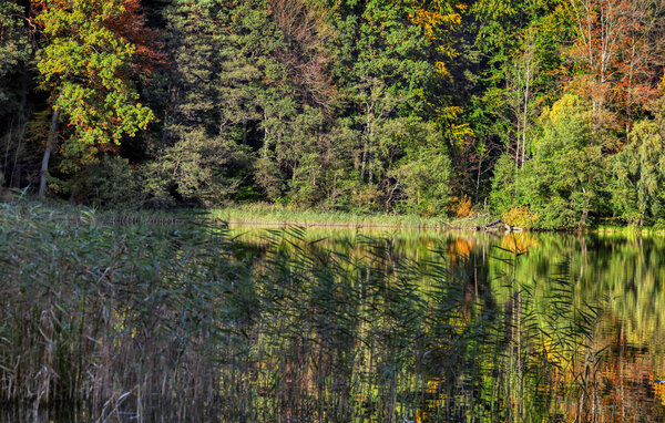 Holiday Home - Boitzenburger Land , Germany - DZV071 901