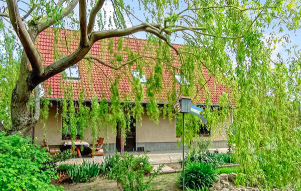 Ferienhaus - Rechlin , Deutschland - DZV077 81