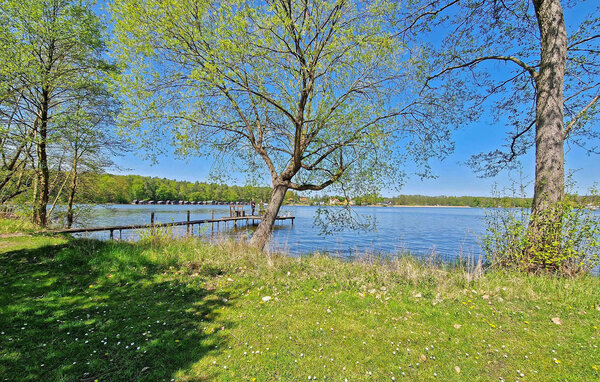 Holiday Home - Rheinsberg OT Zechlinerhütte , Germany - DZV111 101