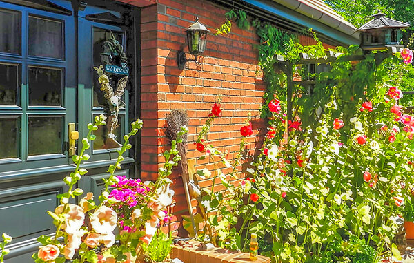 Ferienwohnung - Altenkirchen auf Rügen , Deutschland - DZV140 8