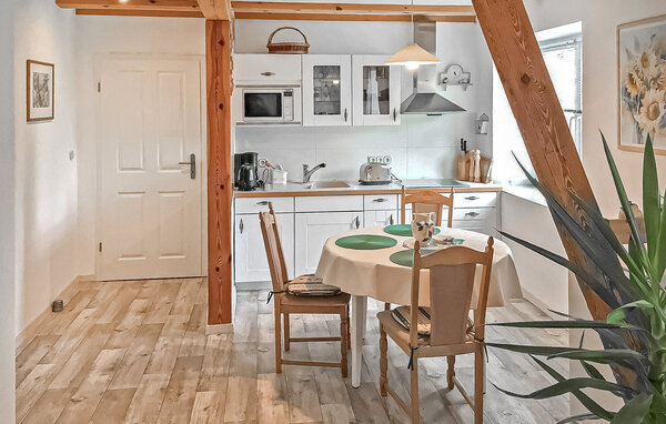 Ferienwohnung - Wokuhl-Dabelow , Deutschland - DZV217 5