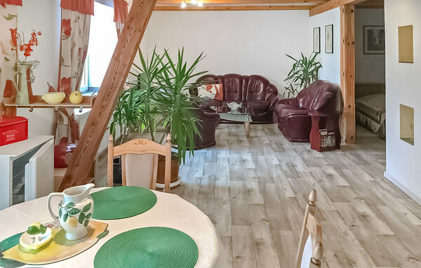 Ferienwohnung - Wokuhl-Dabelow , Deutschland - DZV217 3