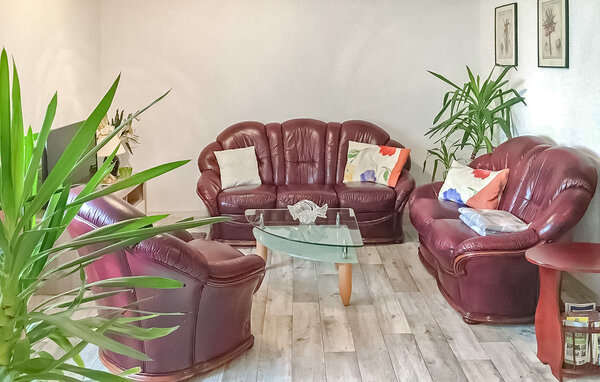 Ferienwohnung - Wokuhl-Dabelow , Deutschland - DZV217 4