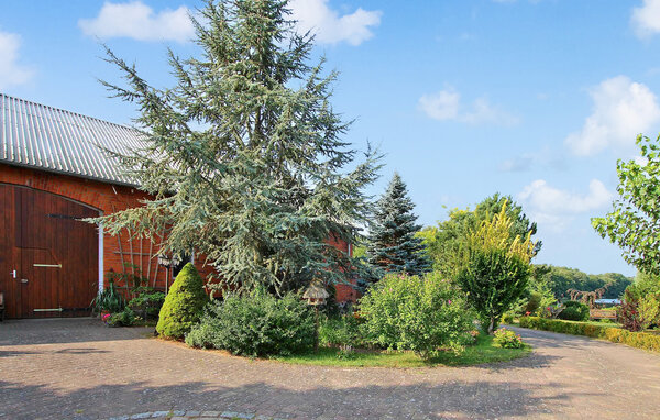 Ferienwohnung - Wokuhl-Dabelow , Deutschland - DZV217 101