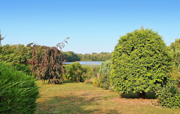 Ferienwohnung - Wokuhl-Dabelow , Deutschland - DZV217 103