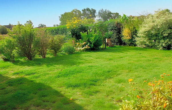 Holiday Home - Altenkirchen auf Rügen , Germany - DZV221 101