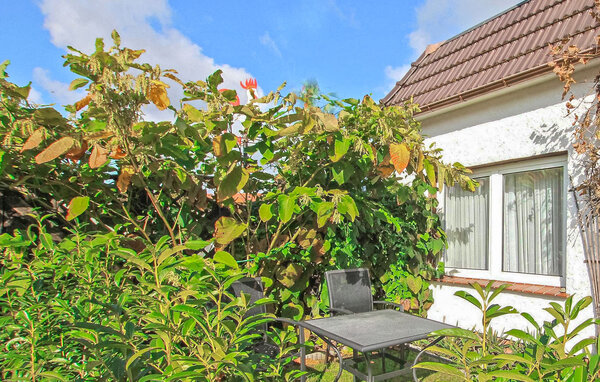 Ferienhaus - Waren (Müritz) , Deutschland - DZV247 8