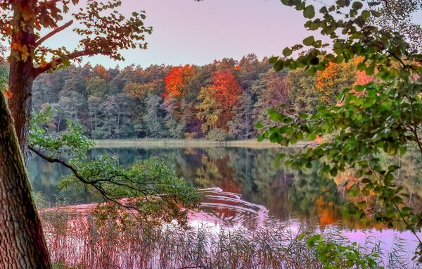 Feriehuse - Bansin (Seebad) , Tyskland - DZV273 903