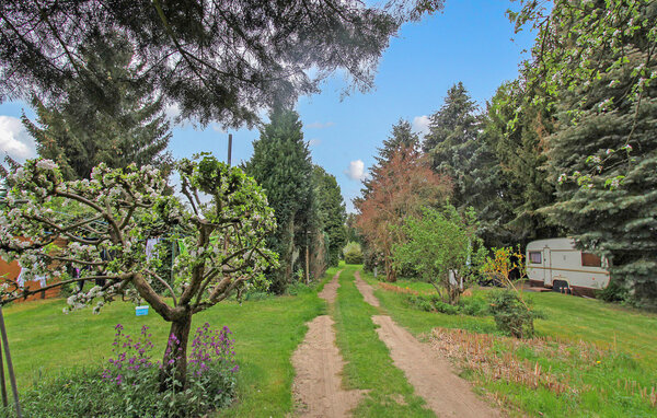 Ferieleilighet - Königs Wusterhausen OT Kablow , Tyskland - DZV285 2