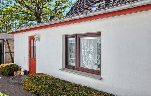 Ferienhaus - Born auf dem Darß , Deutschland - DZV291 81