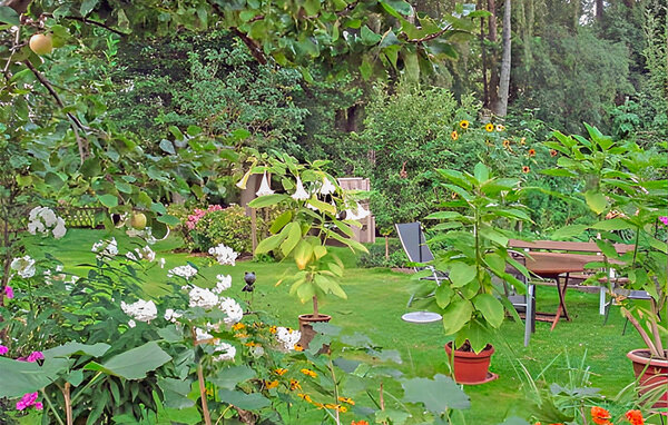 Ferienwohnung - Mühl Rosin , Deutschland - DZV299 102