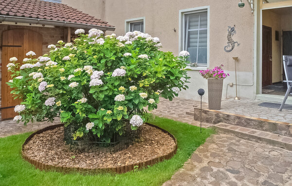 Ferienwohnung - Lychen , Deutschland - DZV319 102