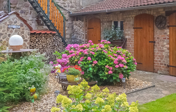 Ferienwohnung - Lychen , Deutschland - DZV319 103