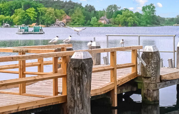 Ferienhaus - Krakow am See , Deutschland - DZV326 904