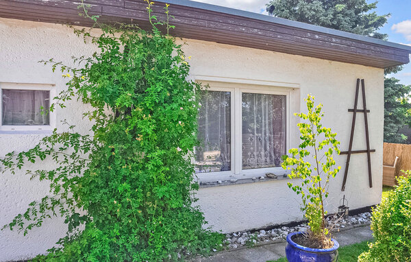 Ferienwohnung - Ostseebad Breege OT Juliusruh , Deutschland - DZV333 82
