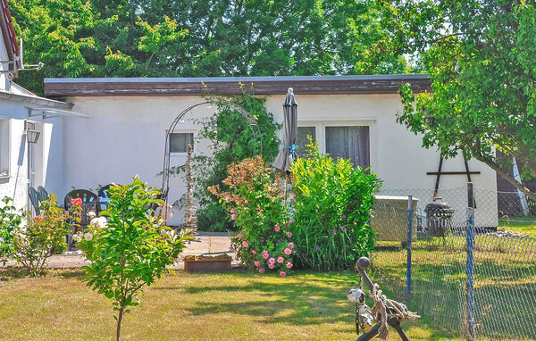 Ferienwohnung - Ostseebad Breege OT Juliusruh , Deutschland - DZV333 1