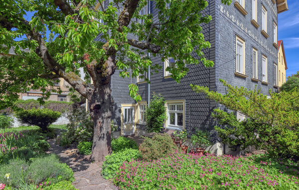 Apartament - Friedrichroda , Niemcy - DZV346 9