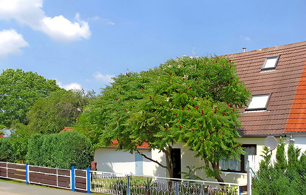 Lejlighed - Wesenberg OT Strasen , Tyskland - DZV380 81