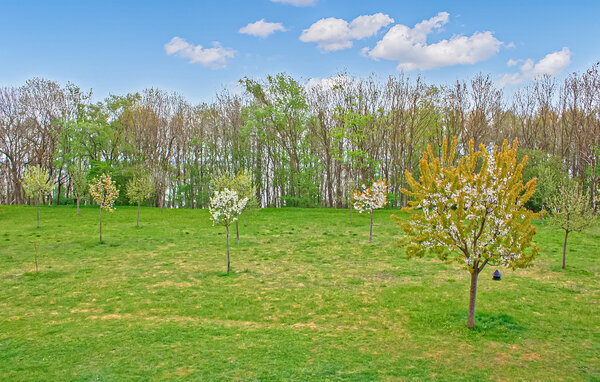 Ferienwohnung - Klink , Deutschland - DZV389 2