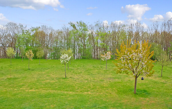 Apartment - Klink , Germany - DZV391 8