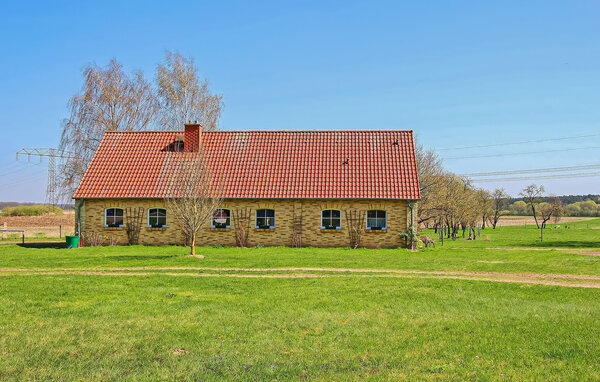 Semesterlägenhet - Dobbin , Tyskland - DZV403 84