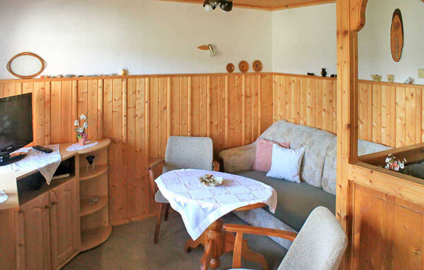 Domy wakacyjne - Rechenberg-Bienenmühle , Niemcy - DZV405 3