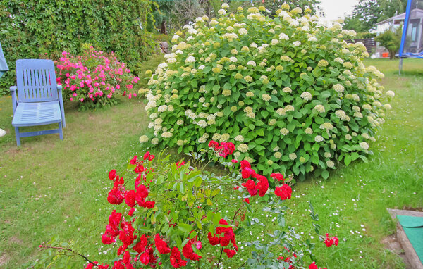 Holiday Home - Blankensee OT Groß Schönfeld , Germany - DZV426 8